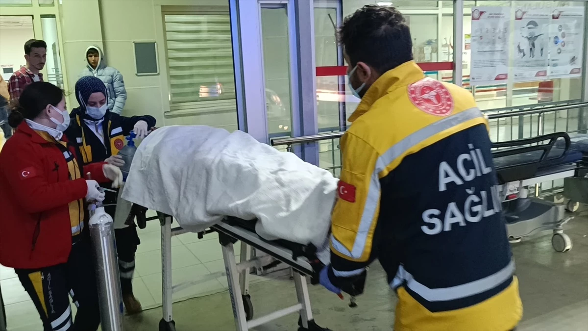 Adana'nın Kozan ilçesinde otomobil devrildi, 2 kişi yaralandı