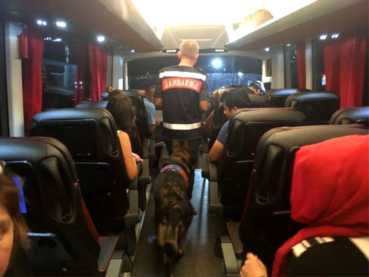 Aydın'ın Söke ilçesinde otobüste uyuşturucu operasyonu: 2 şüpheli yakalandı